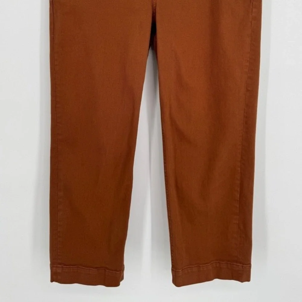 Everlane‎ Straight Leg Crop Pants Size 12 Rusty Brown Minimalist Casual Chic